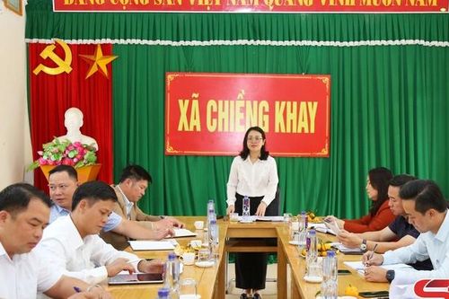 Tổ công tác của Ban Chỉ đạo 396 làm việc tại huyện Quỳnh Nhai