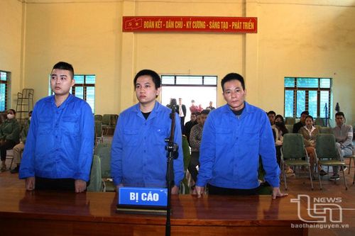 Thêm 4 vụ án về ma túy được xét xử lưu động
