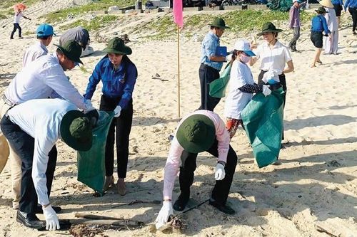 Sức sống 'Ngày Chủ nhật xanh'