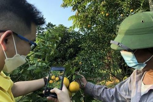 Công nghệ thông tin 'chắp cánh' cho HTX dân tộc miền núi vươn xa