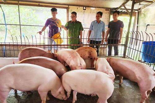 Hỗ trợ người hoàn lương vay vốn làm ăn, ổn định cuộc sống