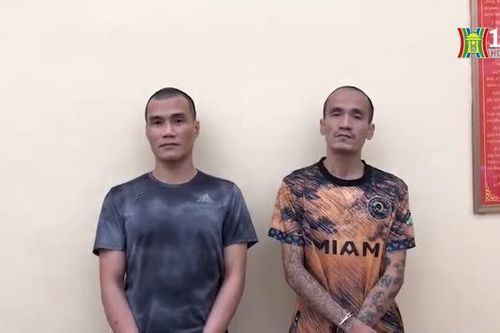 Bắt giữ ổ nhóm trộm cắp, tàng trữ ma túy