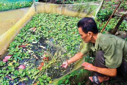 Viết tiếp trang sử quê hương