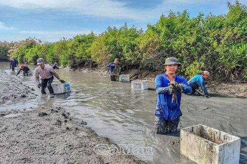Mô hình hiệu quả của cựu chiến binh