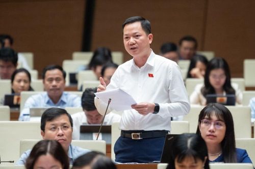 ĐBQH: Phải xác định chủ sở hữu thực sự mới ngăn được thao túng ngân hàng