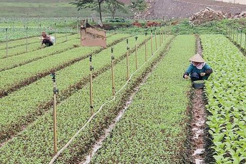 Nâng cao ý thức, trách nhiệm trong sản xuất