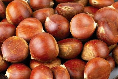 Ứng phó với chứng hư hàn chịu rét kém