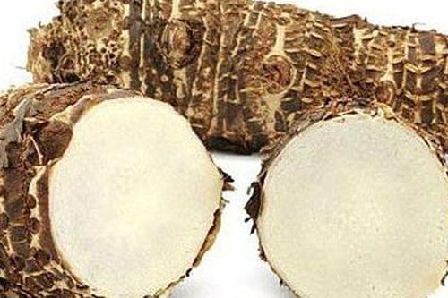 Có nên sử dụng củ ráy để chữa bệnh?