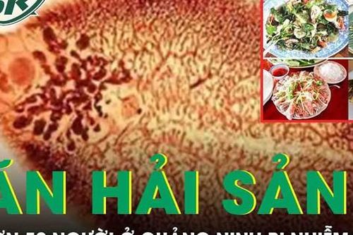 Hơn 50 người ở Quảng Ninh bị nhiễm sán lá gan nhỏ vì ăn hải sản sống