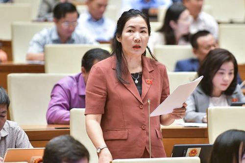 ĐBQH: Đề xuất quy định trừ điểm giấy phép lái xe với người vi phạm Luật