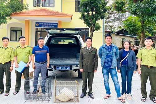 Người dân giao nộp cá thể trăn đất, chim ưng quý hiếm