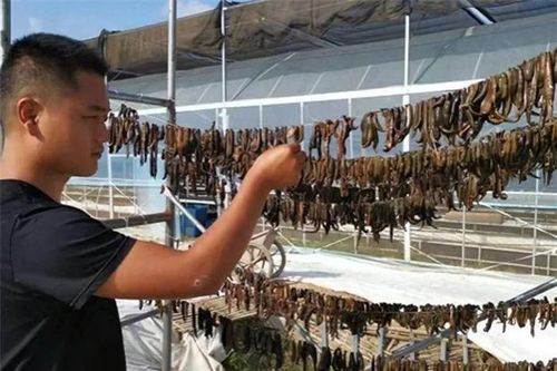 Loài động vật ở Trung Quốc xem là 'vàng mềm': Việt Nam không thiếu!