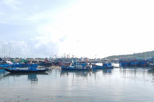 Dọn sạch xác tàu đắm ở cảng Sa Huỳnh