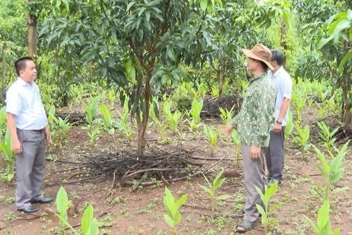 Xây dựng hạ tầng thiết yếu, giúp đồng bào dân tộc thiểu số thoát nghèo
