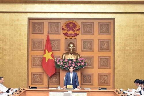 Quy hoạch hệ thống cảng cá, khu neo đậu tránh trú bão: Bảo đảm khả thi về nguồn vốn, tối ưu hiệu quả đầu tư