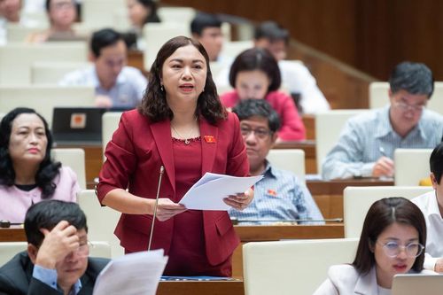 Đại biểu Quốc hội tranh luận về quy định cấm tuyệt đối người có nồng độ cồn lái xe