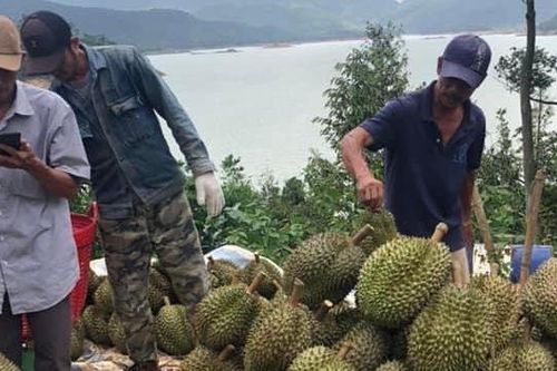 Thay đổi tư duy, làm giàu từ thông tin trên thiết bị nghe nhìn