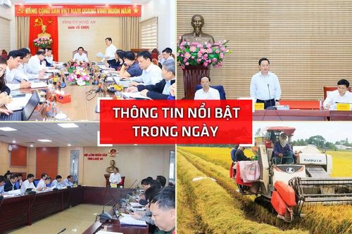 Nghệ An: Thông tin nổi bật ngày 24/11