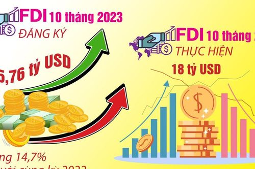 Chủ tịch VAFIE: 'Đánh giá hiệu quả thu hút FDI, không nên nhìn con số thống kê'