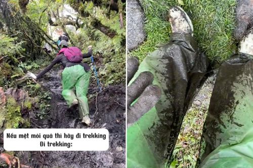 Cô gái đi trekking để 'chữa lành' và cái kết 'không nói nên lời'