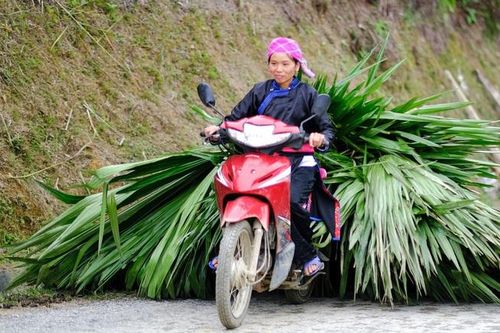 Xe máy bắt buộc lắp camera hành trình: Lãng phí, không khả thi!