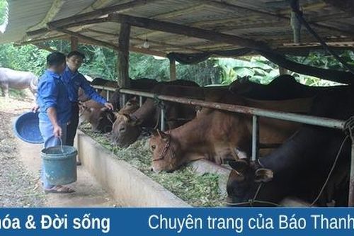 Bí thư chi đoàn dám nghĩ, dám làm