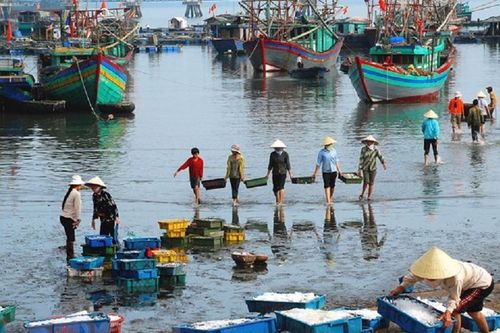 Tái cấu trúc ngành thủy sản phải 'song hành' với sinh kế của ngư dân