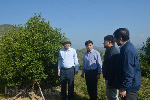 Chủ tịch UBND tỉnh Lê Thành Đô kiểm tra một số dự án trên địa bàn huyện Điện Biên