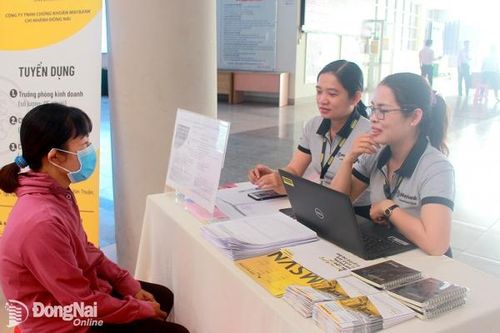 Vênh cung - cầu thị trường lao động