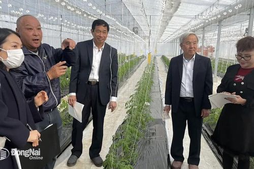 Đoàn công tác của Đồng Nai làm việc tại tỉnh Shiga (Nhật Bản)