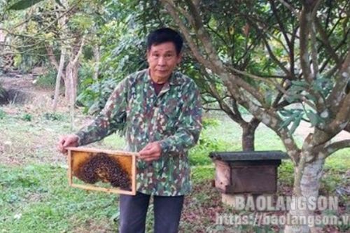 Làm giàu từ mô hình nuôi hươu