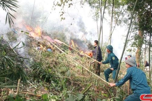 Diễn tập ứng phó cháy rừng, tìm kiếm cứu nạn xã Chiềng Chung