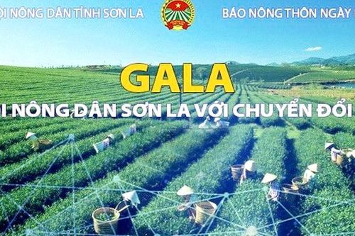 Ngày 27/11, sẽ diễn ra Gala 'Nông dân Sơn La với tiêu thụ nông sản'