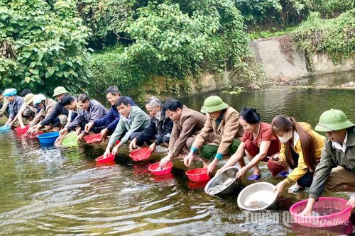 Chuyện nuôi cá suối và bài học đoàn kết ở thôn Chuông