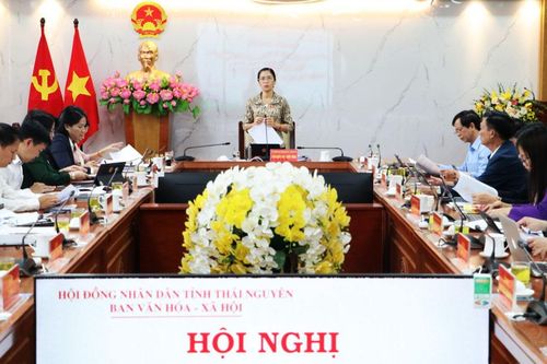 Thẩm tra các báo cáo, tờ trình, dự thảo nghị quyết trước Kỳ họp HĐND tỉnh