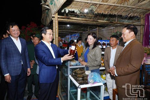 Lễ hội vinh danh các làng nghề chè huyện Phú Lương lần thứ ba
