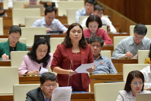 ĐBQH Đặng Bích Ngọc (Hòa Bình): Cân nhắc quy định xe cơ giới, xe máy chuyên dụng phải có thiết bị giám sát hành trình