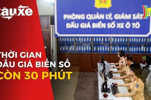 Thời gian đấu giá biển số đẹp giảm còn 30 phút| Bản tin Tàu và Xe| 24/11/2023