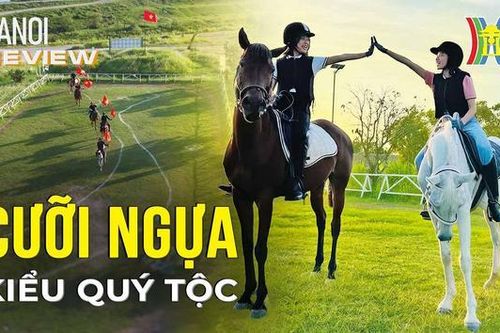 Trải nghiệm cưỡi ngựa như quý tộc châu Âu| Hanoi Review| 24/11/2023