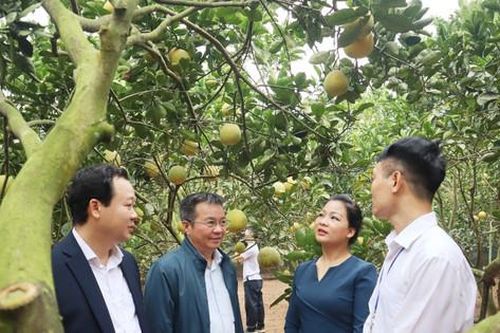 Gia Lâm có 100% số xã nông thôn mới nâng cao