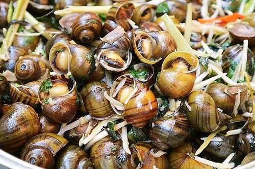 Những người này ăn ốc luộc 'cực độc', thèm đến mấy cũng nên tránh cho xa
