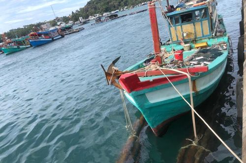 Bắt tàu cá vận chuyển gỗ trái phép trên biển