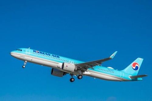 Cô gái 26 tuổi 'dính' ma túy đá cố mở cửa thoát hiểm máy bay