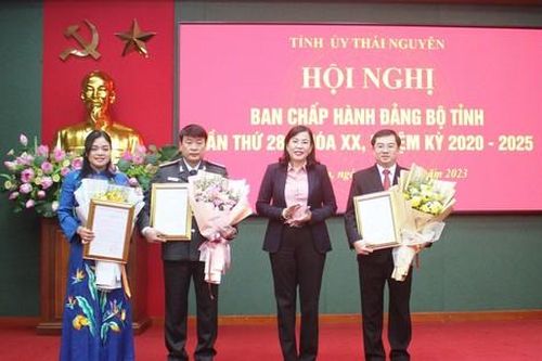 Ban Bí thư Trung ương Đảng chỉ định, chuẩn y nhân sự 3 tỉnh
