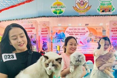 Bạn trẻ 'lên đồ' cho chó mèo xúng xính dự ngày hội thú cưng