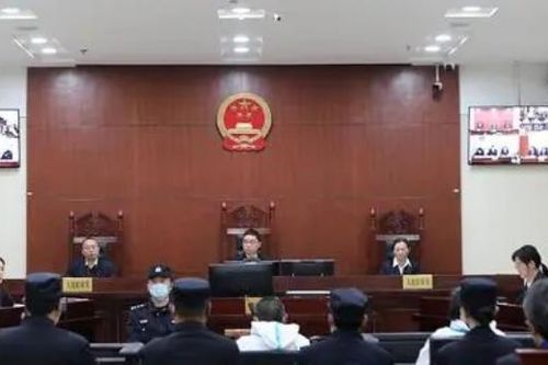 Lừa phụ huynh 'đi cửa sau' cho con vào trường, hiệu trưởng lĩnh hơn 11 năm tù