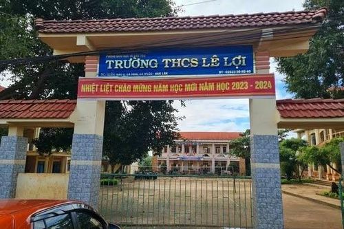Cô giáo thừa nhận mắng học sinh 'không có não'