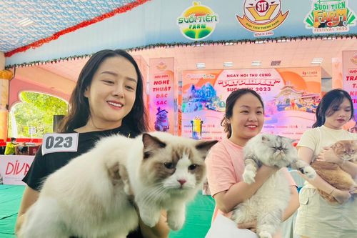 TP Hồ Chí Minh: Gần 600 thú cưng tham gia Ngày hội thú cưng 'Pet perfect' năm 2023