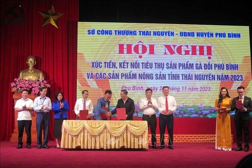 Nâng tầm thương hiệu 'Gà đồi Phú Bình'