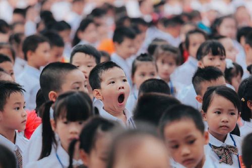 Bản tin 25/11: Mỗi trường học chính thức có thêm một viên chức làm tư vấn học sinh